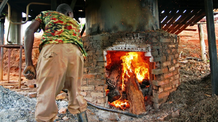 Oil In Rwanda Rwanda's essential oils offer big profits from little land - The Namibian