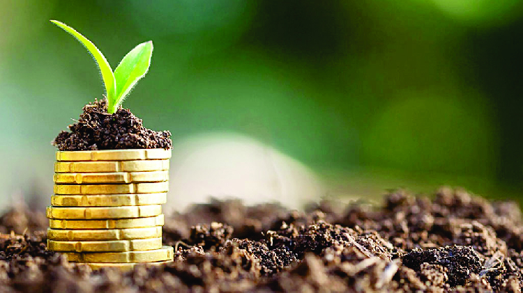 Agribank Adds 1 300 Farmers To Loan Book The Namibian