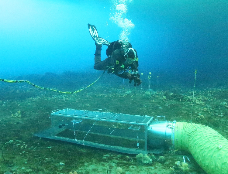 Students Encouraged To Research Refined Deep Sea Water - The Namibian