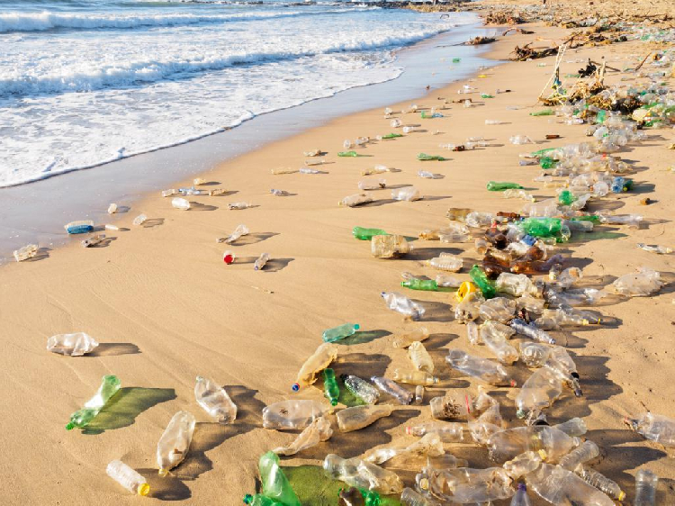 African countries assess state of marine litter - The Namibian