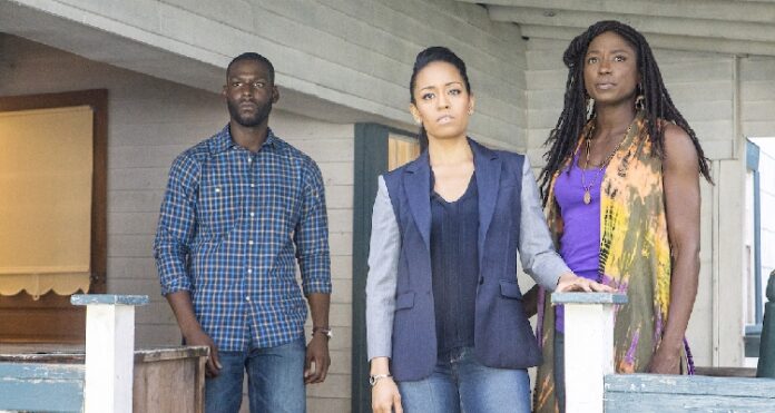 Watch 'Queen Sugar' - The Namibian