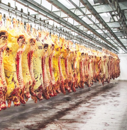 Meatco Factory Battle for top of meat chain … Meatco silent as rival's 549 producers ...