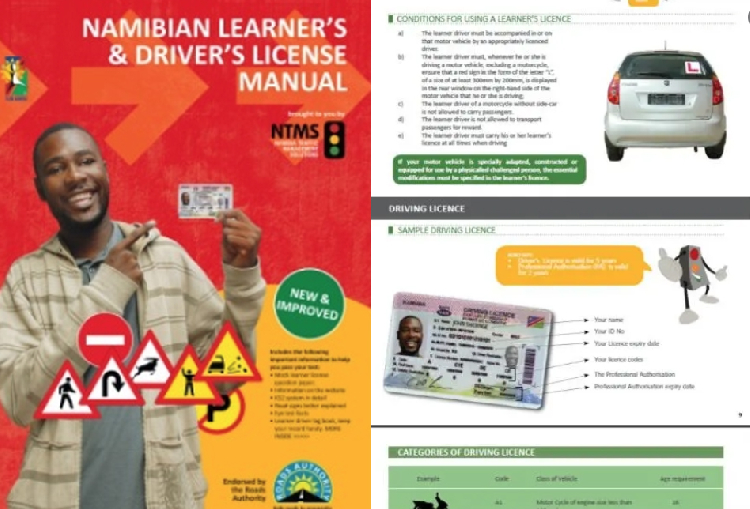 Learner licence tests can now be written in local languages - The Namibian