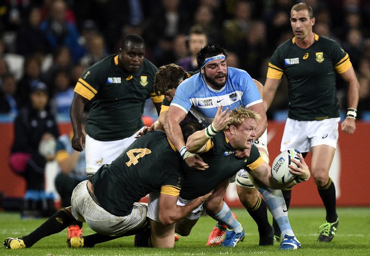 Strauss to captain Springboks against Ireland - The Namibian