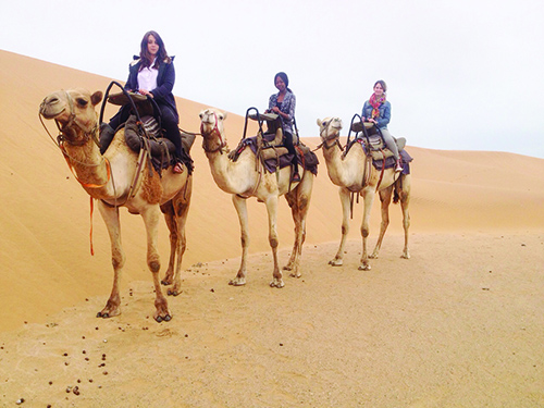 The Secrets of the South - The Namibian