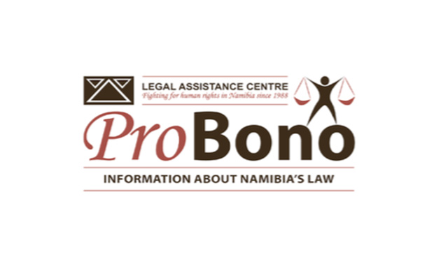 Access To Justice: Who Can Bring A Case To Court? - The Namibian