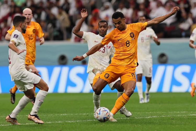 Five breakout stars of the World Cup group stage - The Namibian