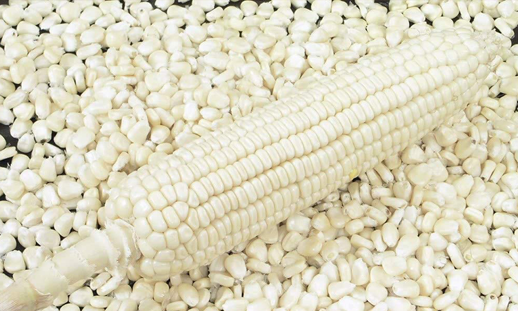 White Maize