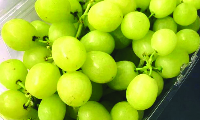 Multimillion-dollar project planned