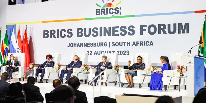 Brics should boost trade with rest of Africa - More Top Stories - The ...