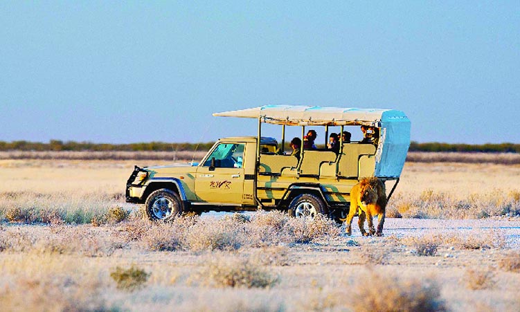 travel in namibia