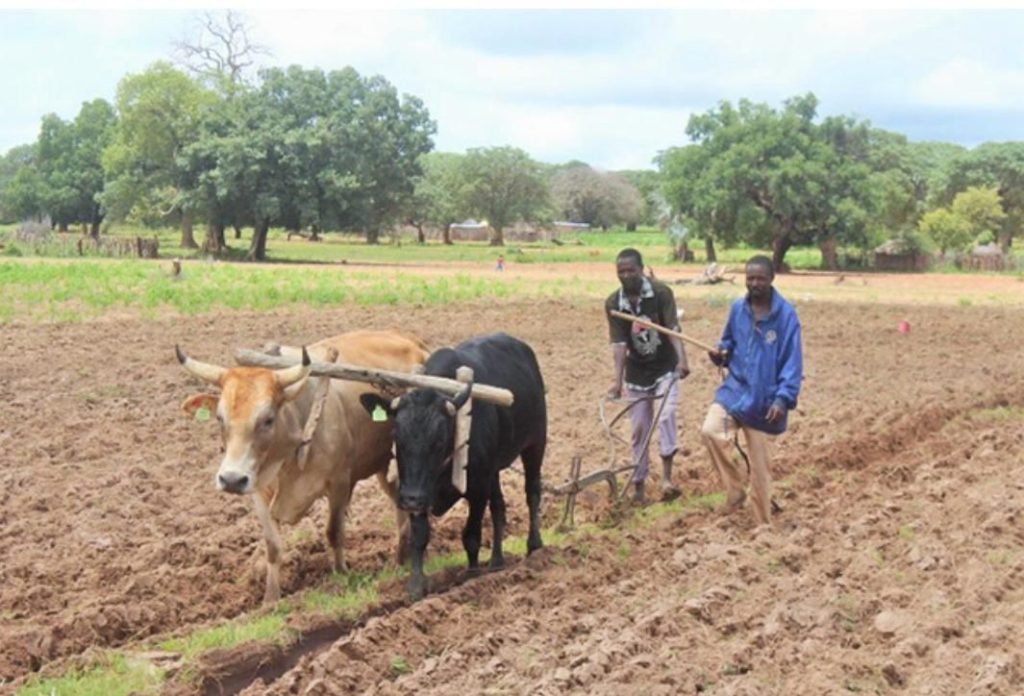 Namibia: Ohangwena farmers receive equipment, tools worth N,2m Namibia: Ohangwena farmers receive equipment, tools worth N,2m