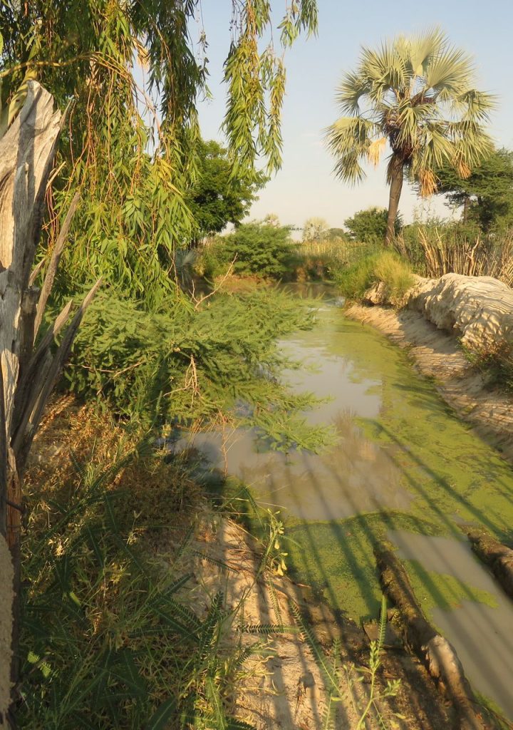 Namibia: Biodiversity stakeholders draft action plan – Africa Links 24 Namibia: Biodiversity stakeholders draft action plan – Africa Links 24