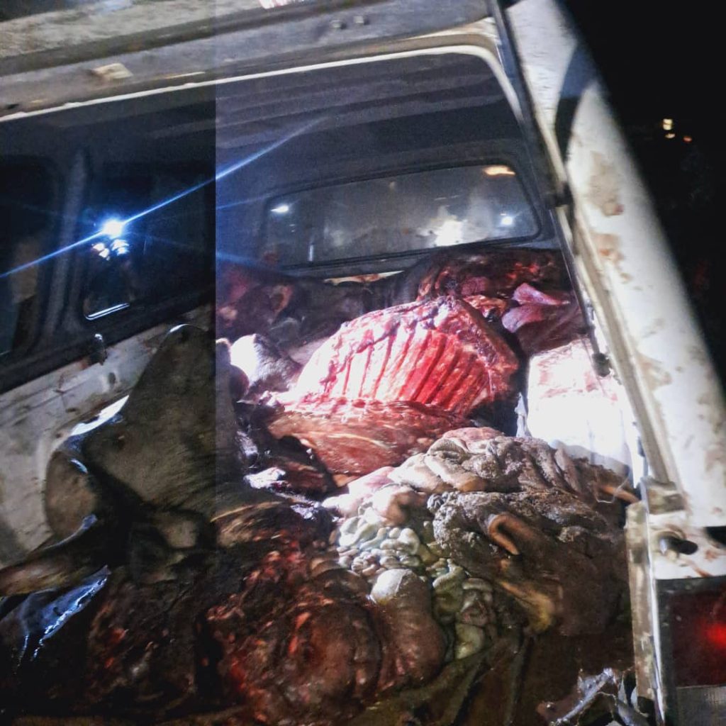 Namibia: Zambezi education officer arrested for poaching four buffaloes – Crime Namibia: Zambezi education officer arrested for poaching four buffaloes – Crime