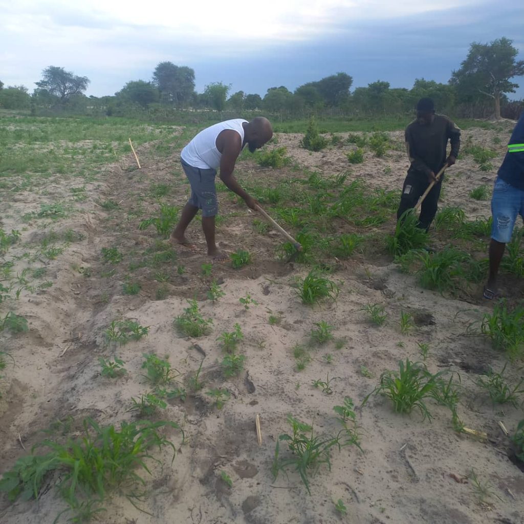 Namibia: Ohangwena community urged to stay away from cucashops – National Namibia: Ohangwena community urged to stay away from cucashops – National