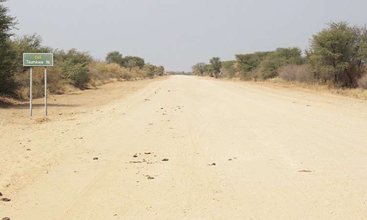 Tsumkwe activist blames accident on poor road infrastructure