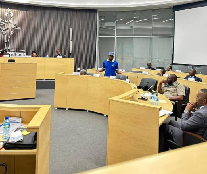 Windhoek council greenlights mobile panic button despite concerns