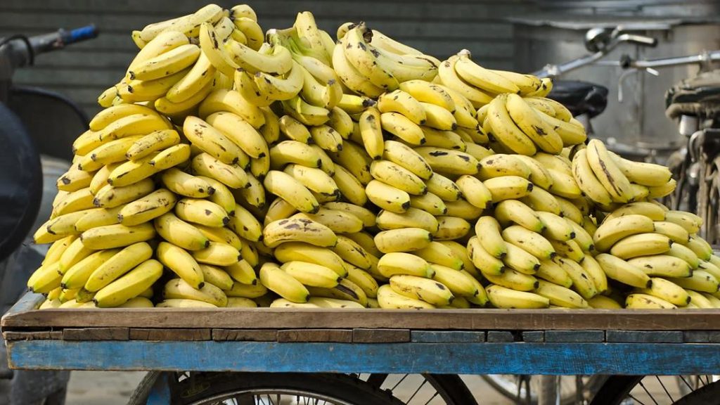 Training on banana production held in Zambezi to empower rural communities