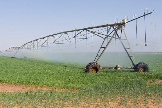 Increased water supply to revitalise Hardap Green Scheme lucerne production