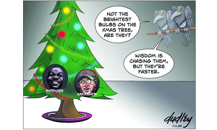 Not the brightest bulbs on the xmas tree, are they?