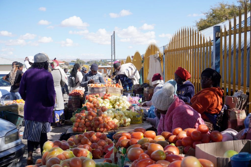 Namibia: Parliamentary committee urges Namibia to formalise informal economy with better infrastructure and financial inclusion – News