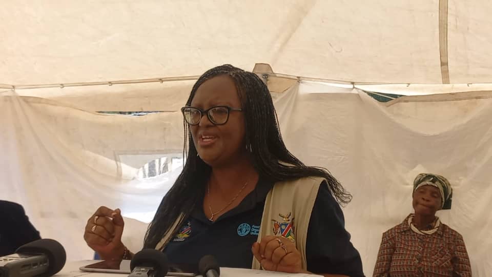 Namibia: Ausiku urges community action in addressing children-led households – News