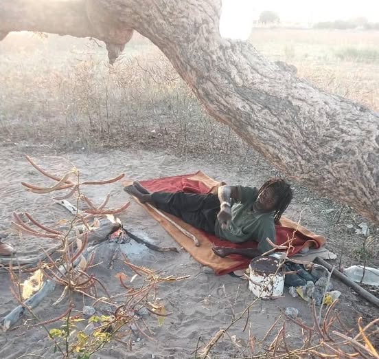 Namibia: Man returns to tree after hospital visit – News Namibia: Man returns to tree after hospital visit – News