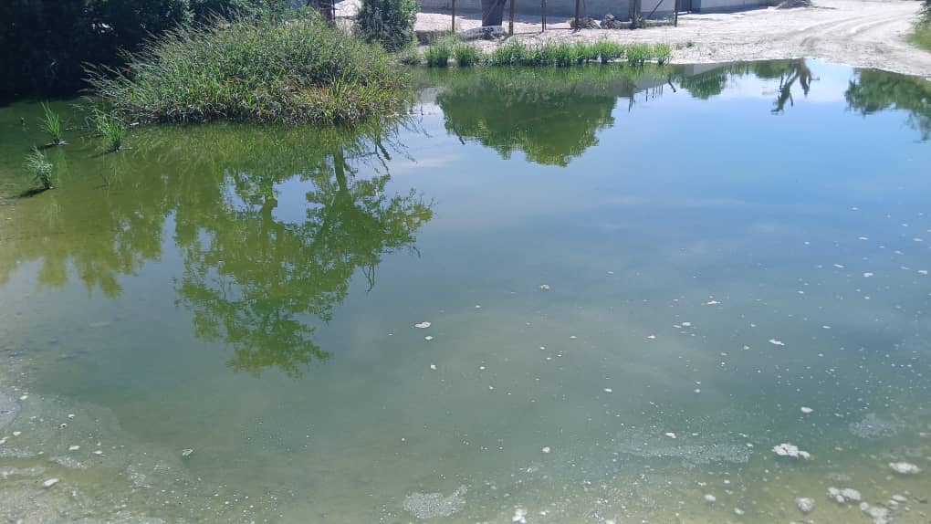 Namibia: Katima Mulilo sewage crisis worsens as town pump fails, residents urged to relocate – News Namibia: Katima Mulilo sewage crisis worsens as town pump fails, residents urged to relocate – News