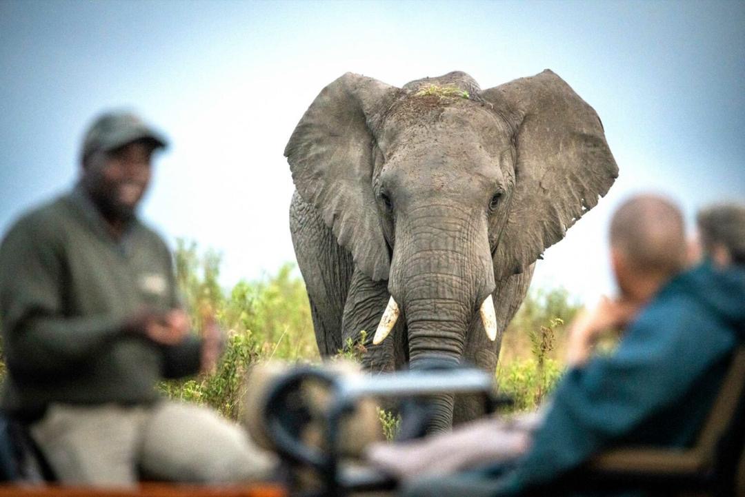 Wildlife conflict payout undermines dignity – IPC shadow environment ...