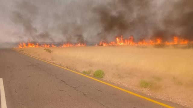 Namibia: Veld fire destroys grazing land at Khorixas – Africa Links 24 Namibia: Veld fire destroys grazing land at Khorixas – Africa Links 24