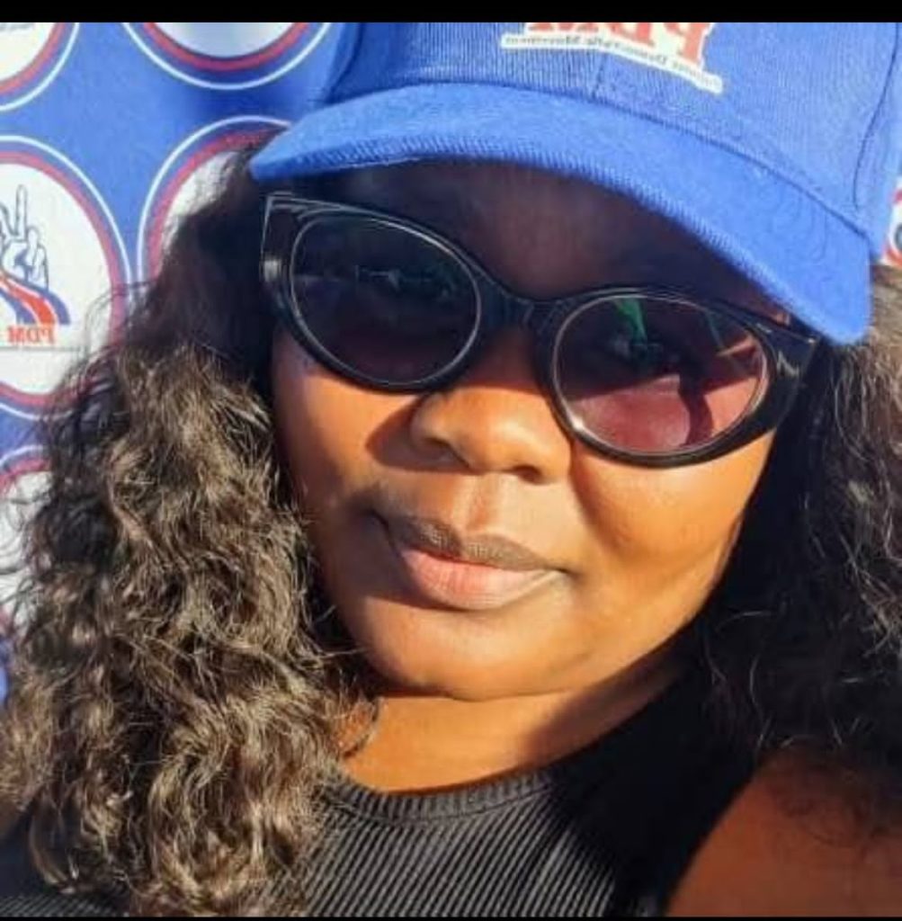 Namibia: Another PDM member resigns – News Namibia: Another PDM member resigns – News