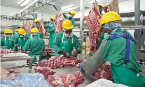 Meatco opens criminal case about missing cattle - The Namibian