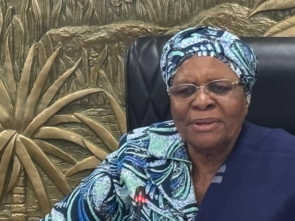 Namibia: Nandi-Ndaitwah urges political parties to work with her administration – News Namibia: Nandi-Ndaitwah urges political parties to work with her administration – News