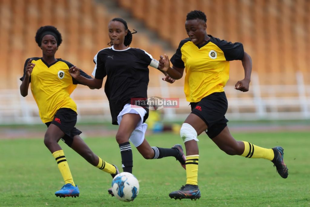 Namibia: Desert Foxes promoted to Women Super League – Sport Namibia: Desert Foxes promoted to Women Super League – Sport