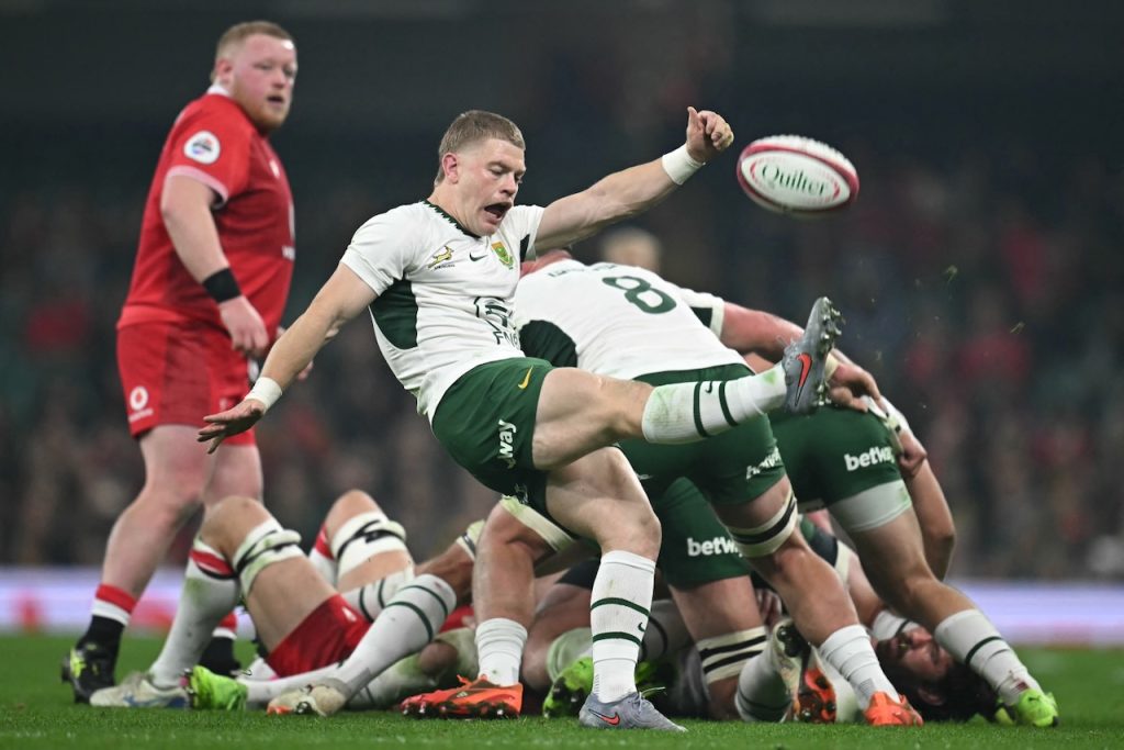 Namibia: Springboks top the pile as England chase and France await Dupont – Sport Namibia: Springboks top the pile as England chase and France await Dupont – Sport