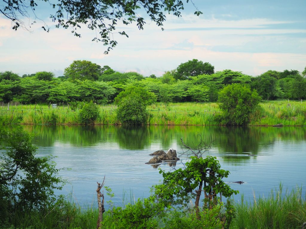 Namibia: National Geographic’s Photo Camp comes to Namibia – Environment Namibia: National Geographic’s Photo Camp comes to Namibia – Environment
