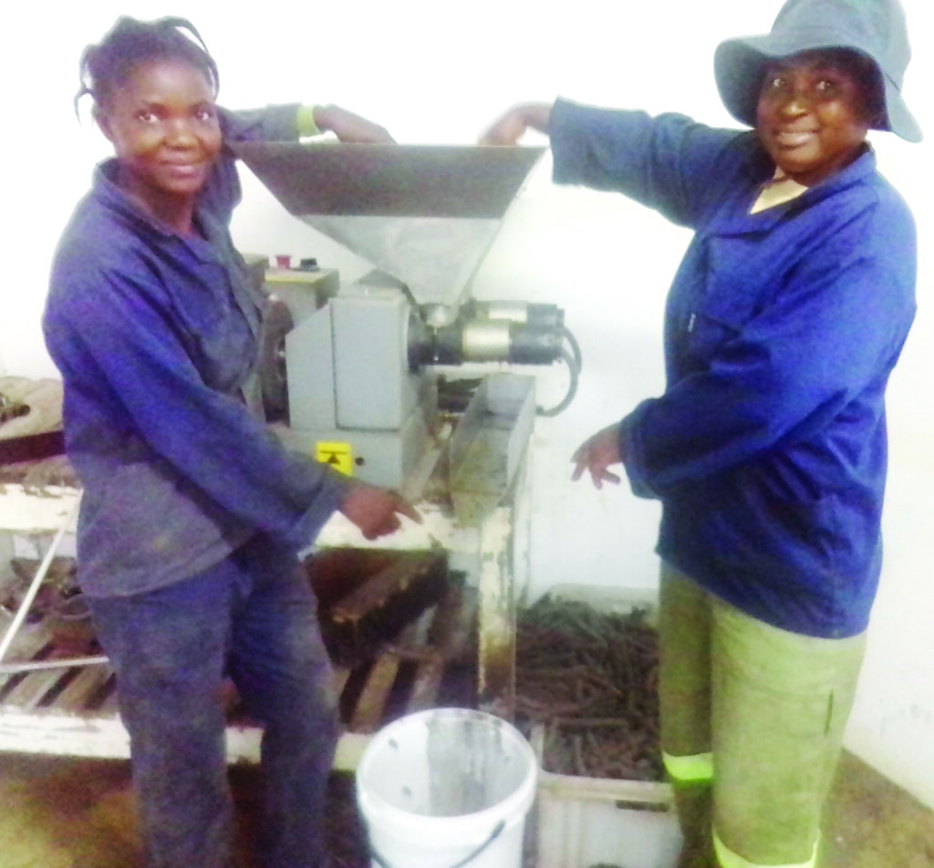 Borehole driller strikes ‘liquid gold’