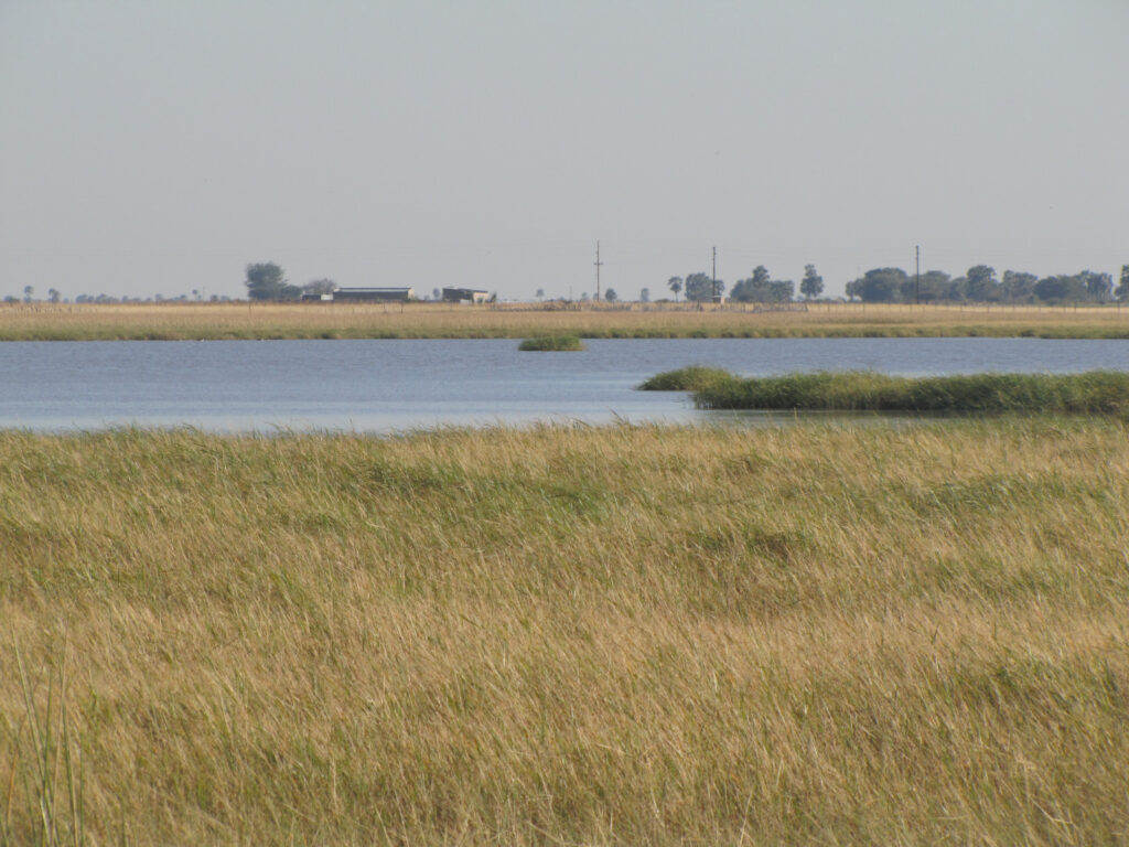 Calls for wetland conservation to protect livelihoods on World Wetlands Day