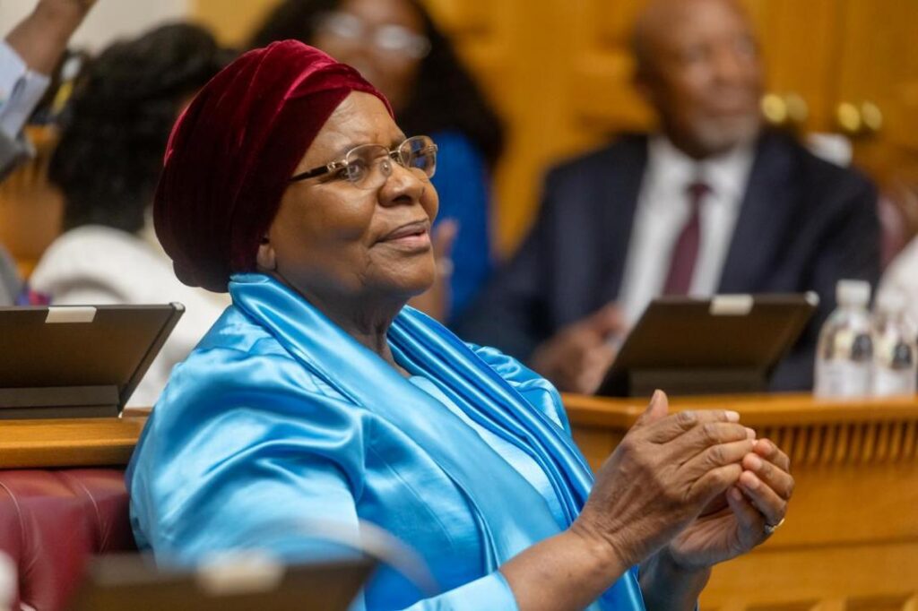 Namibia: President takes aim at MPs wanting to score political points – News Namibia: President takes aim at MPs wanting to score political points – News