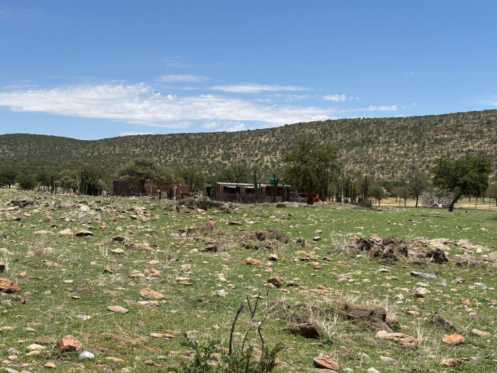 Desalinated boreholes bring relief to farmers