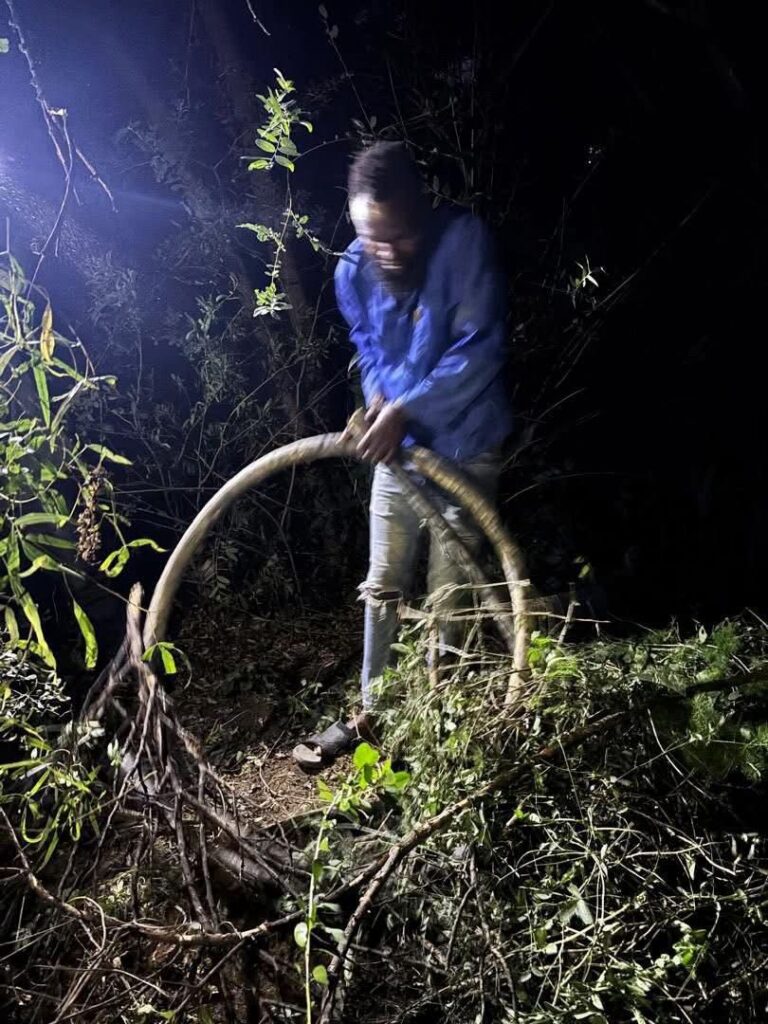 Namibia: Windhoek man jailed 10 months for stealing copper cables at Suiderhof – News Namibia: Windhoek man jailed 10 months for stealing copper cables at Suiderhof – News