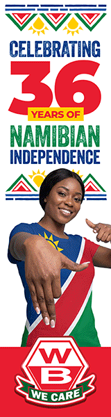 Banner 330x1440 (Fireplace Right) #1