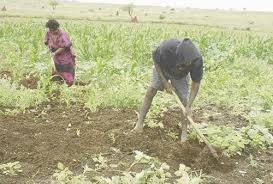 LPM calls for productivity-focused land reform in Namibia