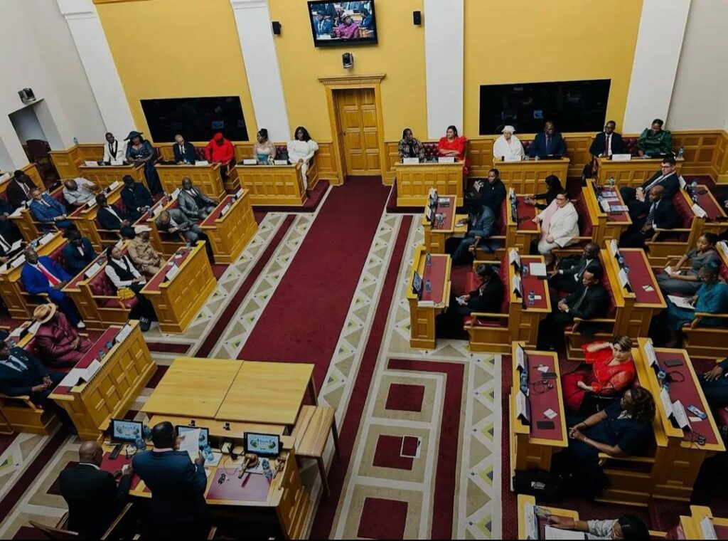 National Assembly risks becoming ‘kangaroo’ institution without proper funding – Aupindi