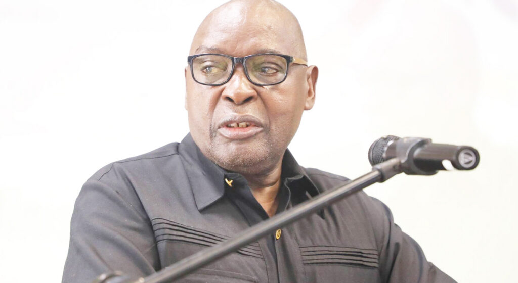 ‘Sankwasa forced town council to suspend me’