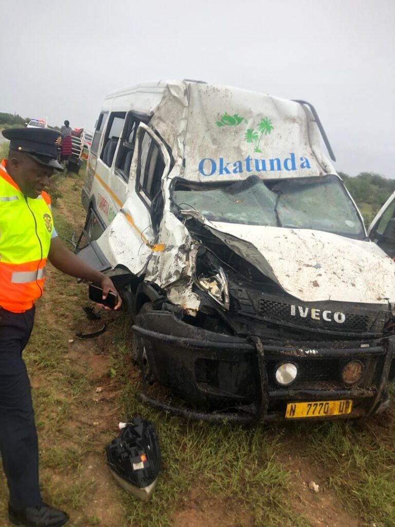 Bus hits elephant between Kunene and Omusati