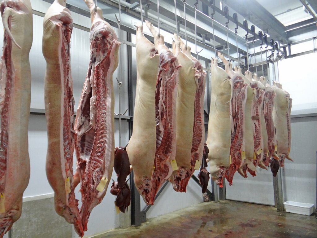 Namibians encouraged to venture into pig farming