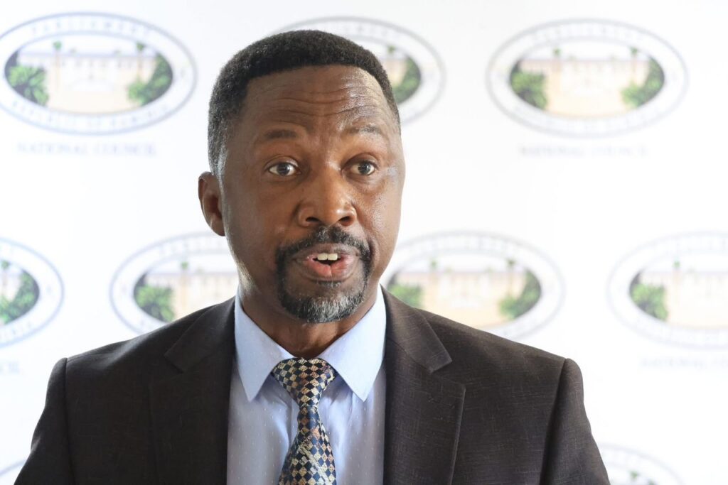 National Council urged to scrutinise budget to protect public interest