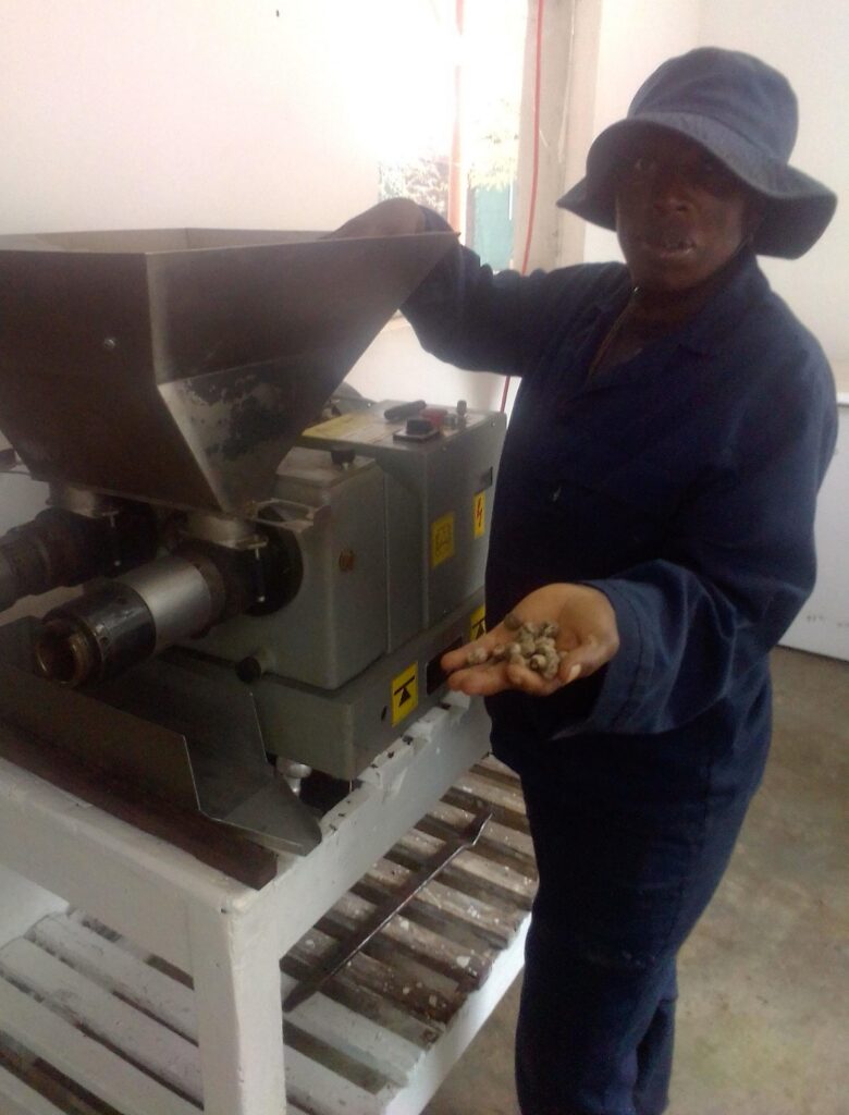 Local cooking oil production takes off