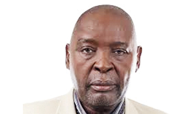 NHE boss stays until replacement arrives – minister
